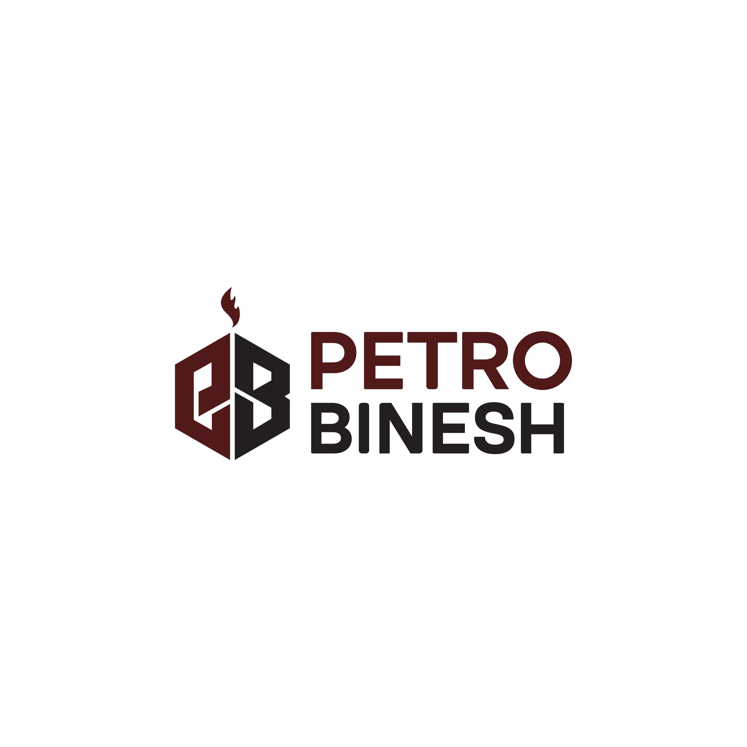 Petro Binesh Energy Development